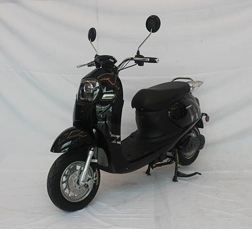 真爱 
 ZA500DQT-2电动摩托车