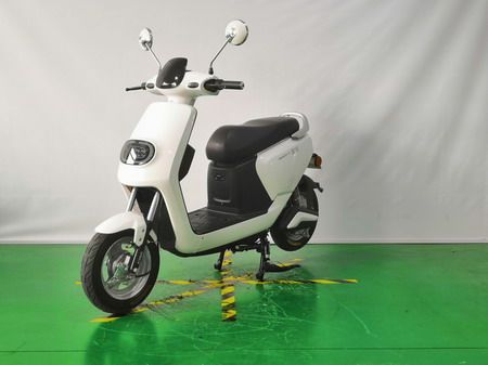国威（江苏） 
 GW800DQT-10电动摩托车