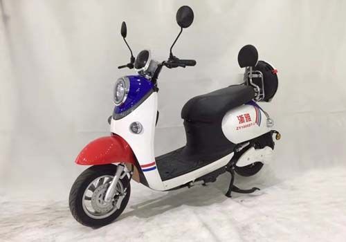 浙雅 
 ZY1000DT-3电动摩托车