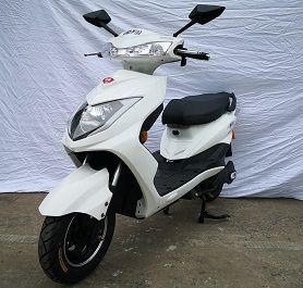 逸翔 
 YX600DQT-7电动摩托车