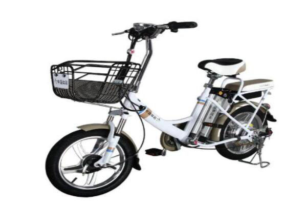 澳柯玛中国体彩电动自行车整车外观图片